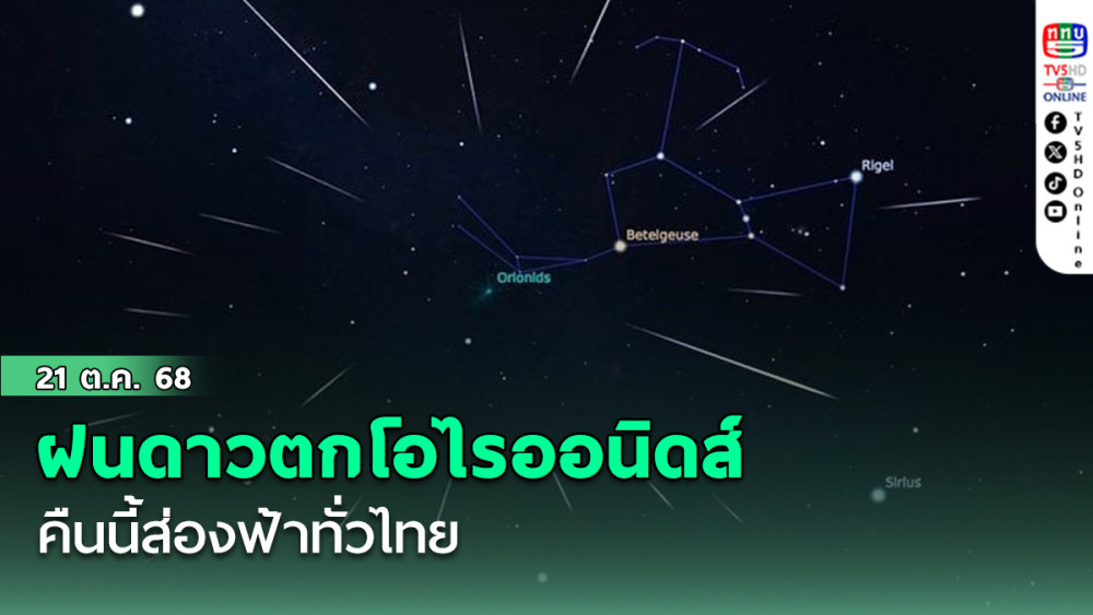 ฝนดาวตกโอไรออนิดส์ คืนนี้ส่องฟ้าทั่วไทย