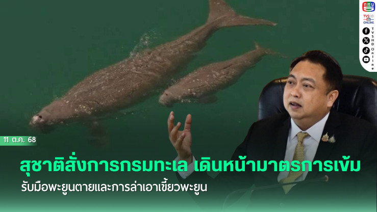 สุชาติสั่งการกรมทะเล เดินหน้ามาตรการเข้ม รับมือพะยูนตายและการล่าเอาเขี้ยวพะยูน