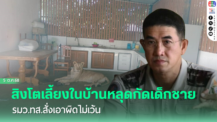 สิงโตเลี้ยงในบ้านหลุดกัดเด็กชายเจ็บ รมว.ทส.สั่งเอาผิดไม่เว้น