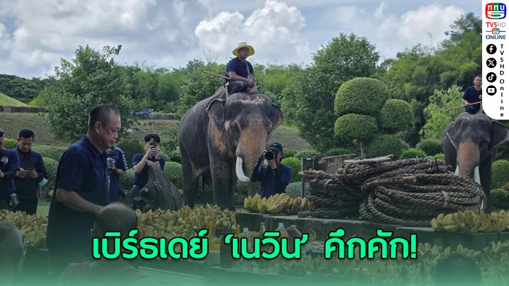 67 ปี เนวินคึกคัก! พิธีปะกําช้างสุดยิ่งใหญ่ ‘อนุทิน-รมต.-ส.ส.’ ร่วมพรึ่บ