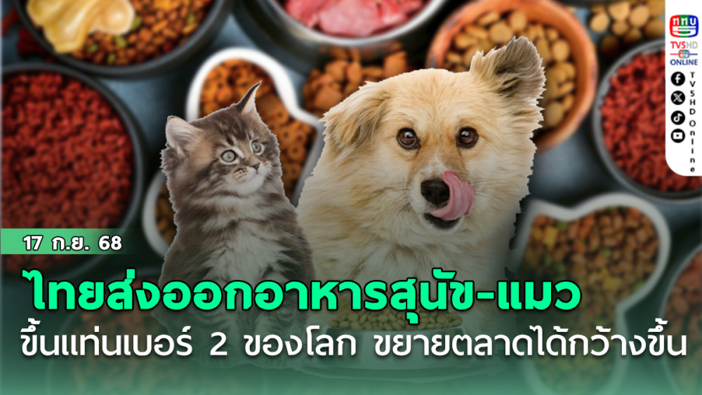 ไทยส่งออกอาหารสุนัข-แมว ขึ้นแท่นเบอร์ 2 ของโลก แถมขยายตลาดได้กว้างขึ้น
