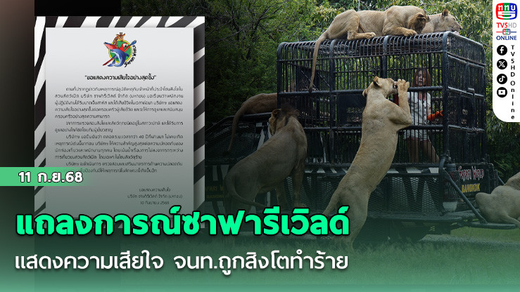 แถลงการณ์ซาฟารีเวิลด์ แสดงความเสียใจ จนท.ถูกสิงโตทําร้าย 