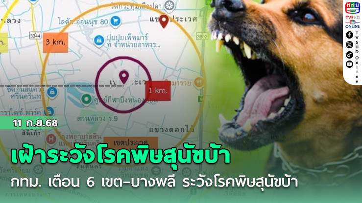 กทม. เตือน 6 เขต–บางพลี ระวังโรคพิษสุนัขบ้า