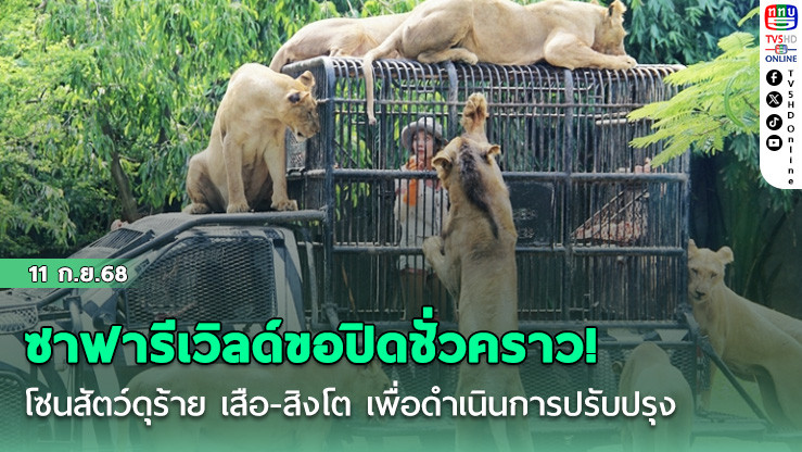 ซาฟารีเวิลด์ขอปิดชั่วคราว! โซนสัตว์ดุร้าย เสือ-สิงโต เพื่อดําเนินการปรับปรุง