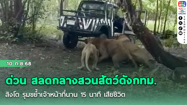 ด่วน สลดกลางสวนสัตว์ดังกทม. สิงโต รุมขย้ําเจ้าหน้าที่นาน 15 นาที เสียชีวิต เผยนาทีเกิดเหตุ นักท่องเที่ยวพยายามบีบแตร ตะโกนขอให้ช่วย