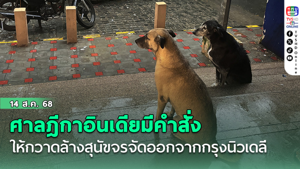 ศาลฎีกาอินเดียมีคําสั่งให้กวาดล้างสุนัขจรจัดหลายหมื่นตัวออกจากกรุงนิวเดลี
