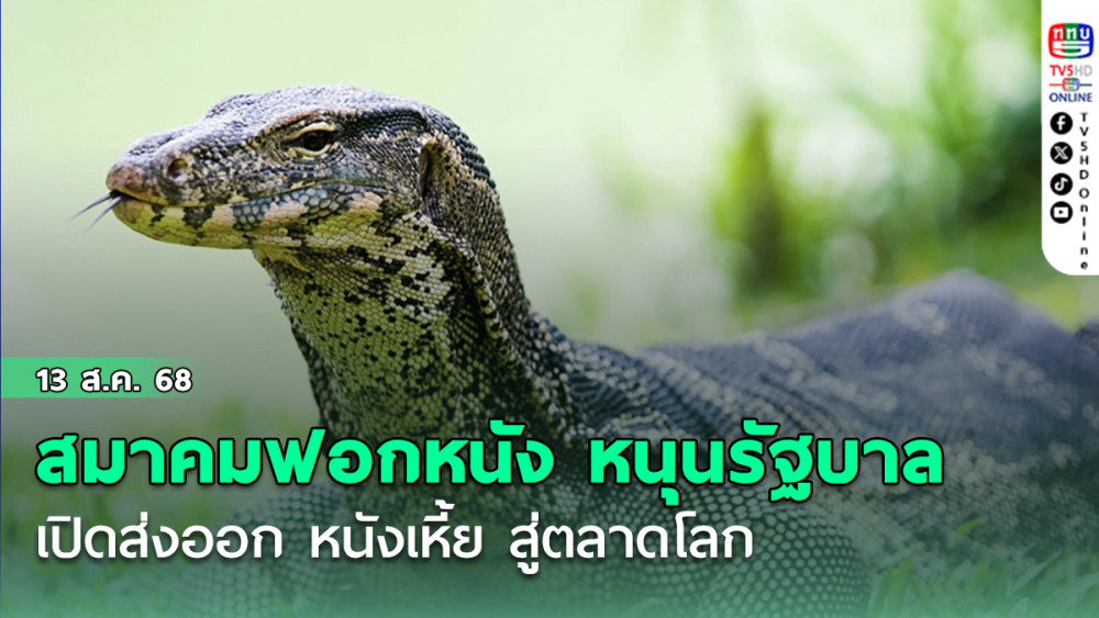 สมาคมฟอกหนัง หนุนรัฐบาลเปิดส่งออก หนังเหี้ย สู่ตลาดโลก