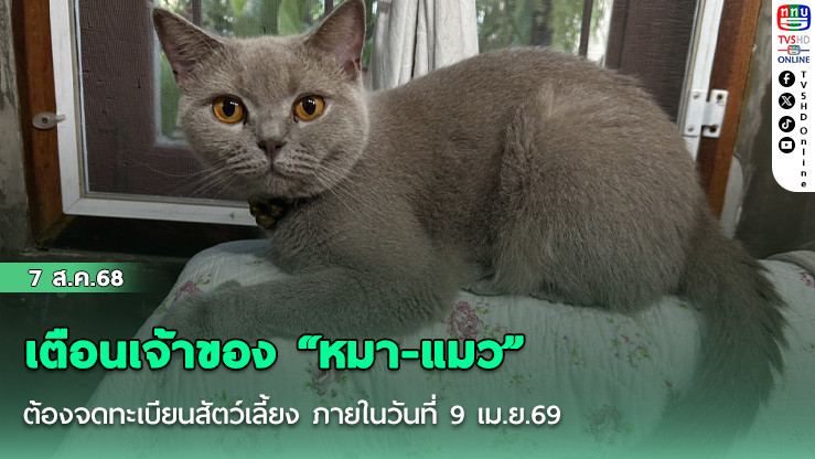 เตือนเจ้าของ “หมา-แมว” ต้องจดทะเบียนสัตว์เลี้ยง ภายในวันที่ 9 เม.ย.69 ย้ําถ้าไม่แจ้ง หากถูกร้องเรียนจะมีโทษสูง