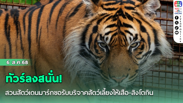 ทัวร์ลงสนั่น! สวนสัตว์เดนมาร์กขอรับบริจาคสัตว์เลี้ยงให้เสือ-สิงโตกิน