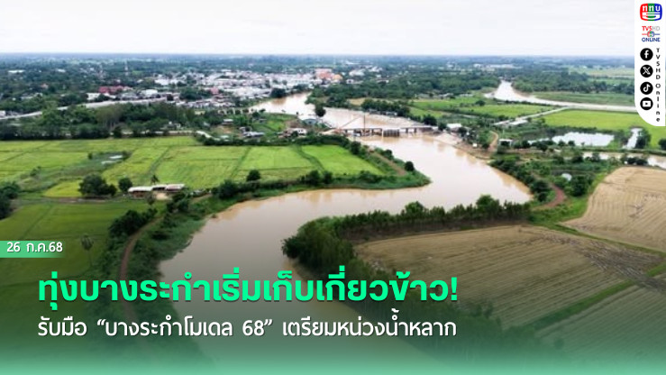 ทุ่งบางระกำเริ่มเก็บเกี่ยวข้าว! รับมือ “บางระกำโมเดล 68” เตรียมหน่วงน้ำหลาก