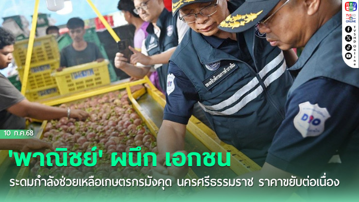 'พาณิชย์' ผนึก เอกชน ระดมกำลังช่วยเหลือเกษตรกรมังคุด นครศรีธรรมราช ราคาขยับต่อเนื่อง
