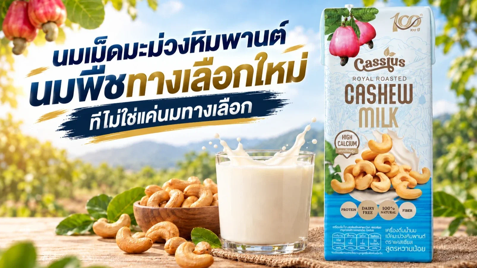 “นมเม็ดมะม่วงหิมพานต์ นมพืชทางเลือกใหม่จากวัตถุดิบไทย ไม่ได้มีแค่ นมโอ๊ต–นมอัลมอนด์ ที่รู้จัก”