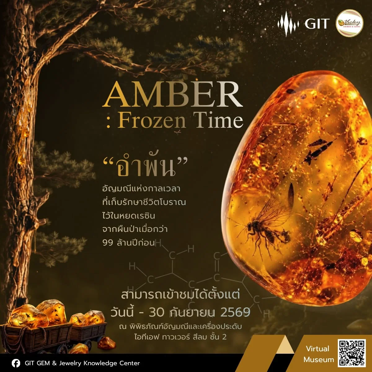 ท่องโลกล้านปี! ชมนิทรรศการ “AMBER : Frozen Time” สัมผัสอำพันแท้ 99 ล้านปี กลางกรุง 🪨✨