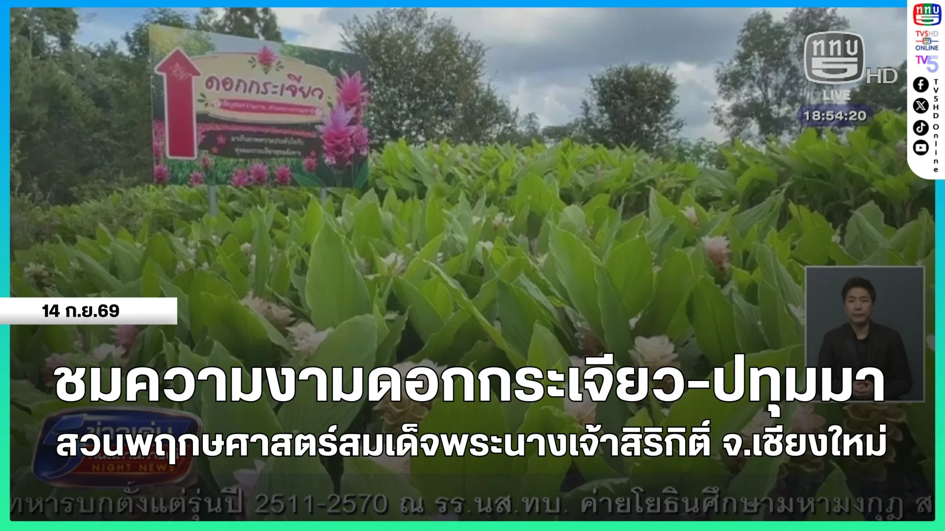 ชมความงามดอกกระเจียว-ปทุมมา สวนพฤกษศาสตร์สมเด็จพระนางเจ้าสิริกิติ์ จ.เชียงใหม่