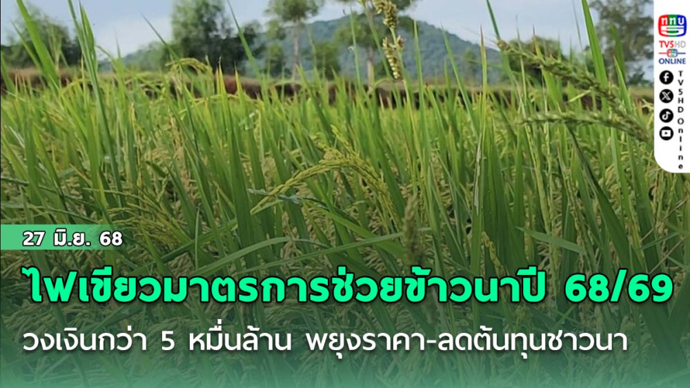 นบข. ไฟเขียว 4 มาตรการช่วยข้าวนาปี 68/69 วงเงินกว่า 5 หมื่นล้าน พยุงราคา-ลดต้นทุนชาวนา