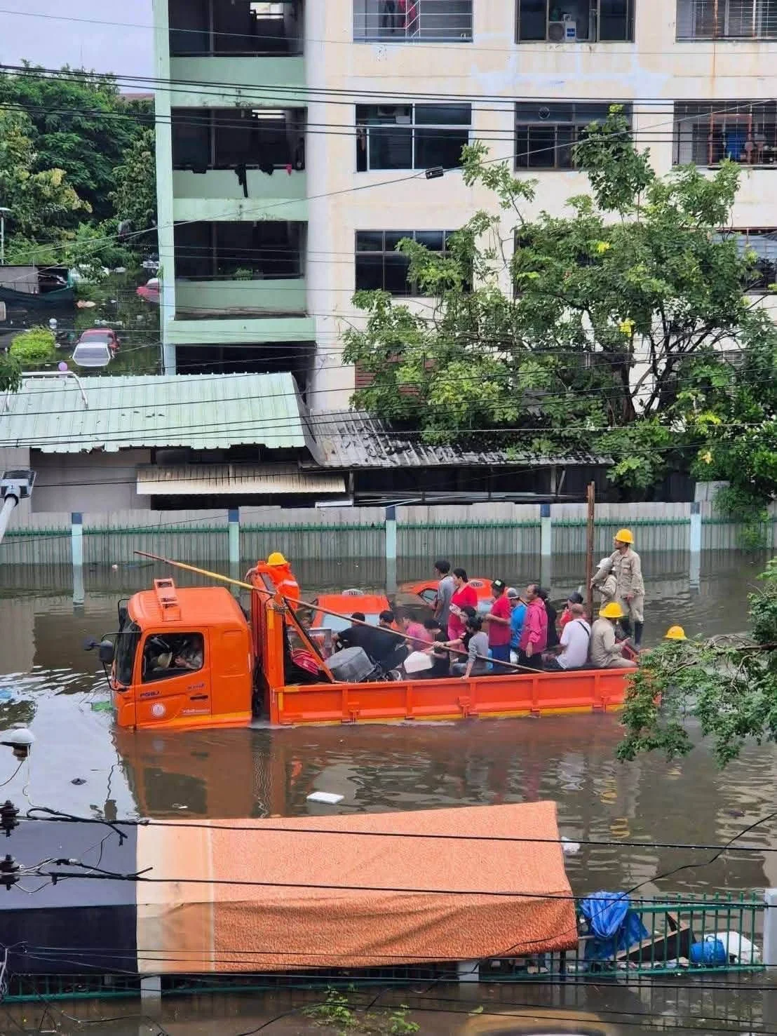 รูปภาพบทความ