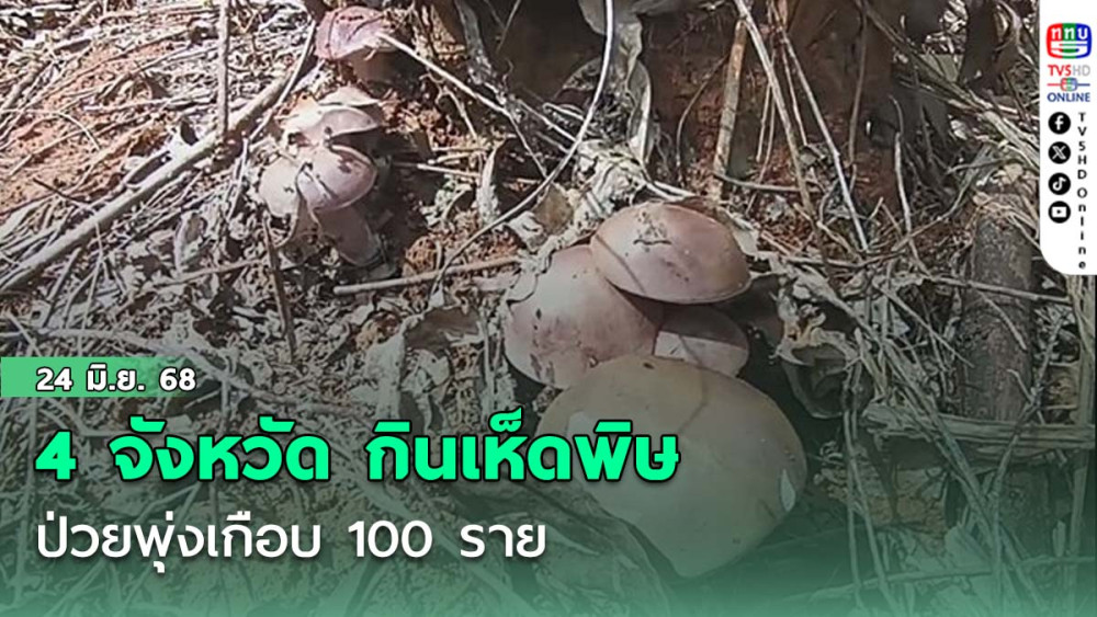 เปิดชื่อ 4 จังหวัด กินเห็ดพิษ ป่วยพุ่งเกือบ 100 ราย