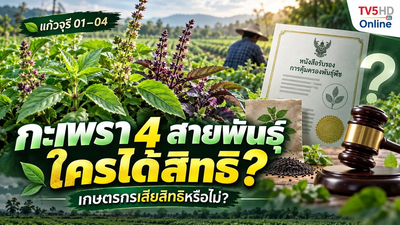 ดราม่ากะเพรา 4 สายพันธุ์ ความจริงคืออะไร?