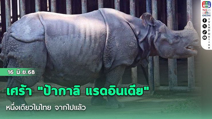 เศร้า "ป้ากาลิ แรดอินเดีย" หนึ่งเดียวในไทย จากไปแล้ว