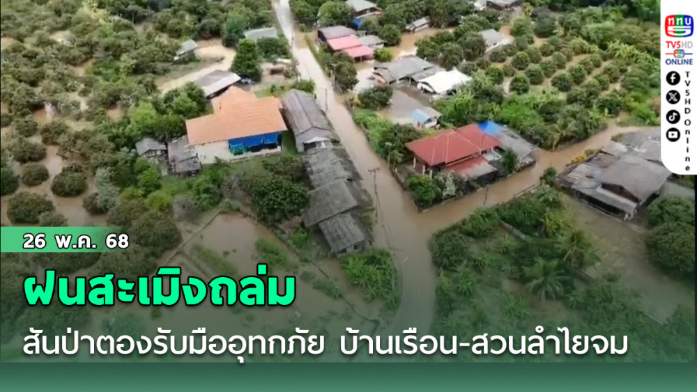 ฝนสะเมิงถล่ม สันป่าตองรับมืออุทกภัย บ้านเรือน-สวนลำไยจมกว่า 2,700 ไร่