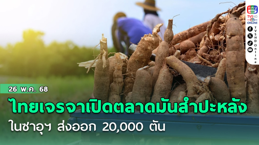 ข่าวดี ไทยเจรจาเปิดตลาดมันสำปะหลังในซาอุฯ ส่งออก 20,000 ตัน