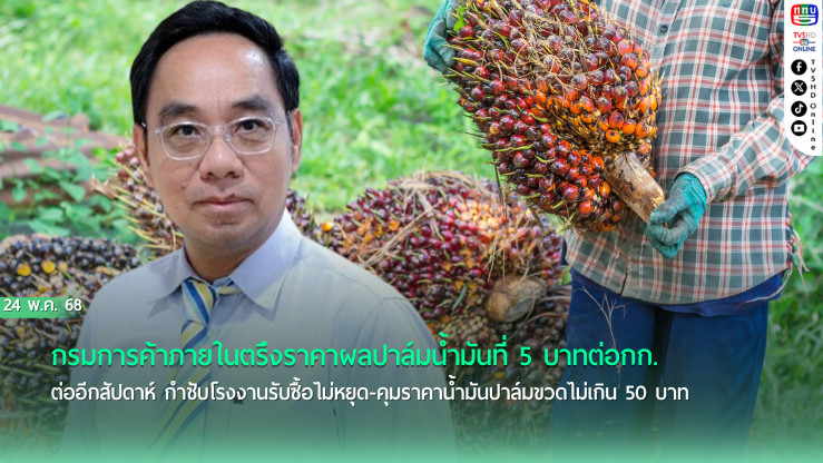  น้ำมันปาล์มขวดไม่เกิน 50 บาท! คุมราคาต้นน้ำยันปลายน้ำ  