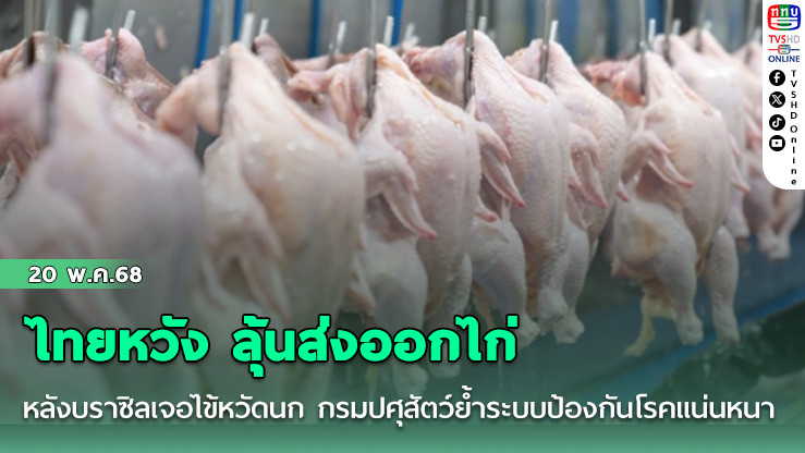 ไทยหวัง ลุ้นส่งออกไก่หลังบราซิลเจอไข้หวัดนก กรมปศุสัตว์ย้ำระบบป้องกันโรคแน่นหนา"