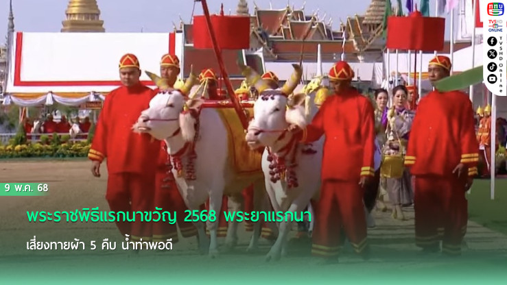 พระราชพิธีแรกนาขวัญ 2568 พระยาแรกนาเสี่ยงทายผ้า 5 คืบ น้ำท่าพอดี