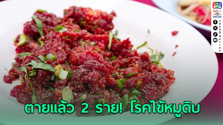 ระวัง! ไข้หมูดิบระบาด พบผู้ป่วย 14 ราย เสียชีวิตแล้ว 2 ราย