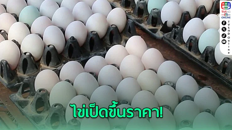 ไข่เป็ดขึ้นราคา! ปรับขึ้นแผงละ 6 บาท กระทบต้นทุนครัวเรือน