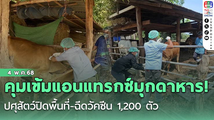 คุมเข้มแอนแทรกซ์มุกดาหาร! ปศุสัตว์ปิดพื้นที่-ฉีดวัคซีน 1,200 ตัว