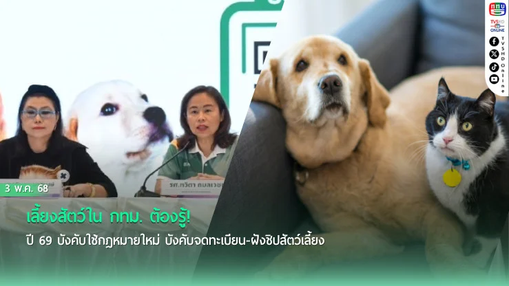 เลี้ยงสัตว์ใน กทม. ต้องรู้! ปี 69 บังคับใช้กฎหมายใหม่ บังคับจดทะเบียน-ฝังชิปสัตว์เลี้ยง