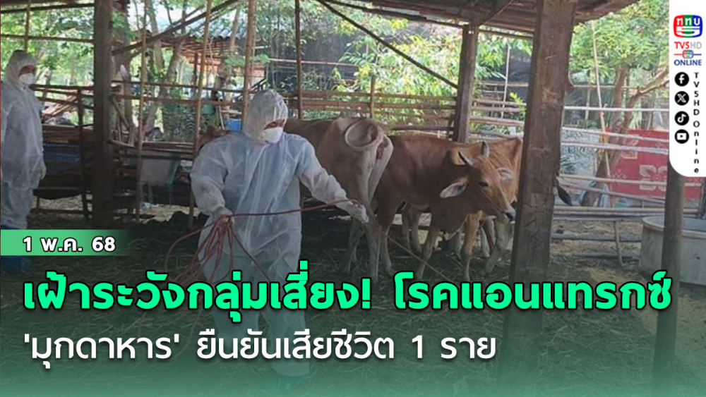 เฝ้าระวังกลุ่มเสี่ยง! 'มุกดาหาร' ยืนยันเสียชีวิต 1 ราย จากโรคแอนแทรกซ์