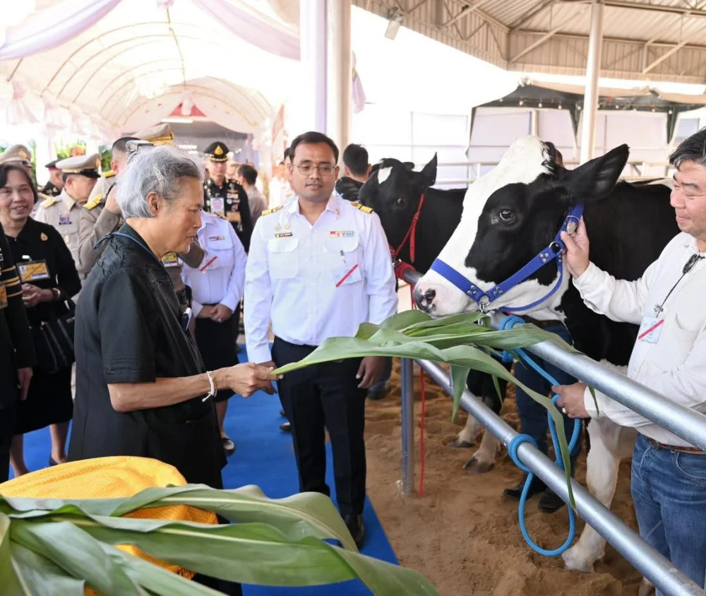 สมเด็จพระกนิษฐาธิราชเจ้า เสด็จฯ ทรงเปิดงานเทศกาลโคนมแห่งชาติ 2569 ครบรอบ 64 ปี ฟาร์มโคนมไทย–เดนมาร์ค
