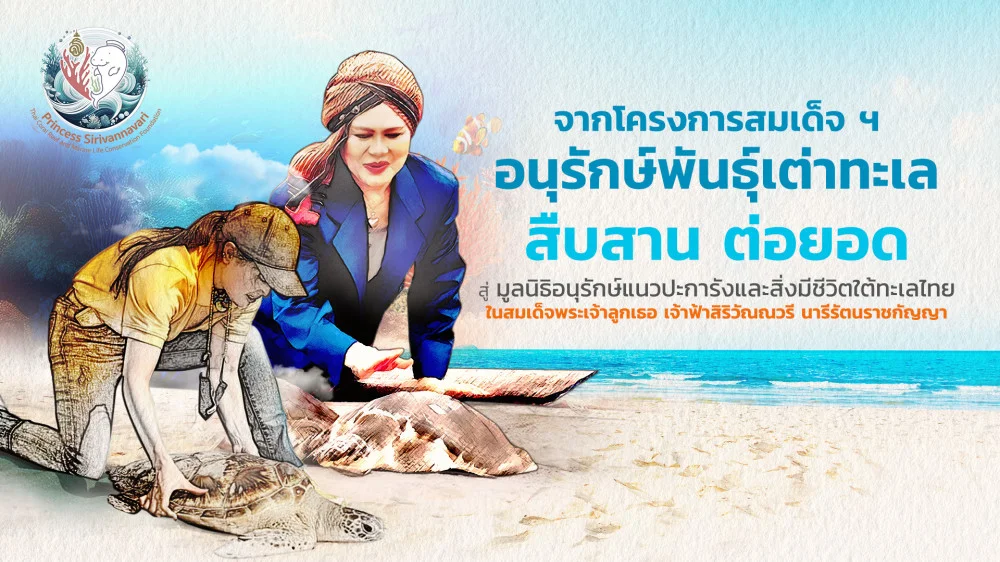 สายใยแห่งความรัก ถักทอพระราชปณิธาน "โครงการสมเด็จ ฯ อนุรักษ์พันธุ์เต่าทะเล"