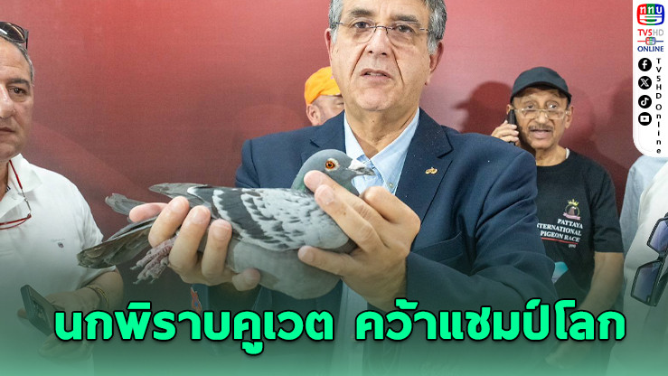 นกพิราบคูเวต คว้าแชมป์โลกสนามพัทยา