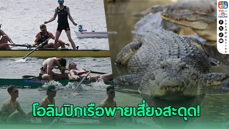 โอลิมปิกเรือพาย 2032 เสี่ยงสะดุด จระเข้โผล่แม่น้ำแข่งควีนส์แลนด์