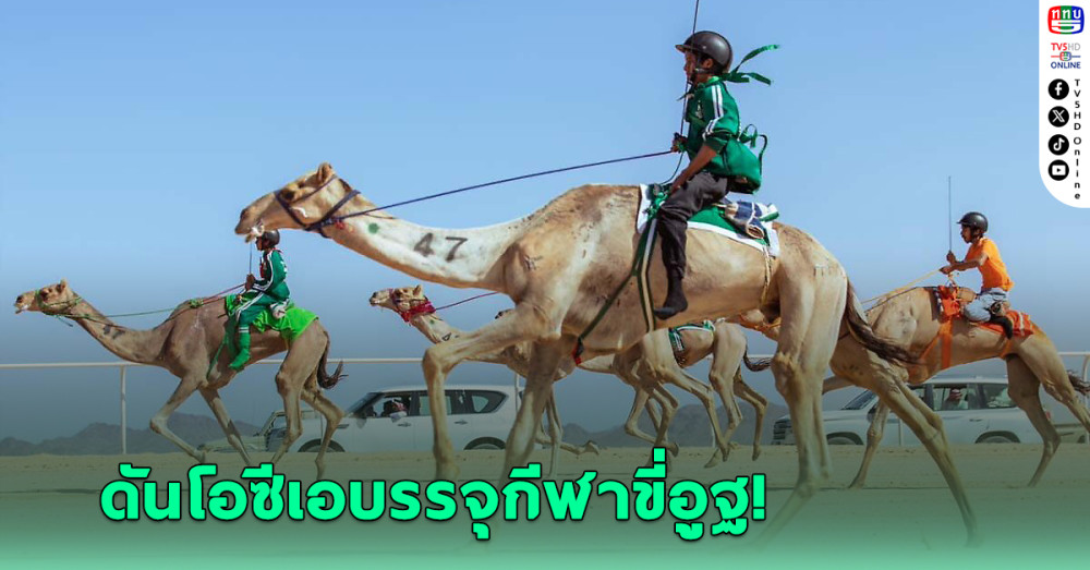 ชาติอาหรับดัน "โอซีเอ" บรรจุกีฬาขี่อูฐในเอเชี่ยนยูธเกมส์ที่บาห์เรน