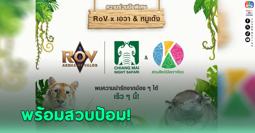 RoV ทำเซอร์ไพรส์ ประกาศคอลแลบ หมูเด้ง-เอวา