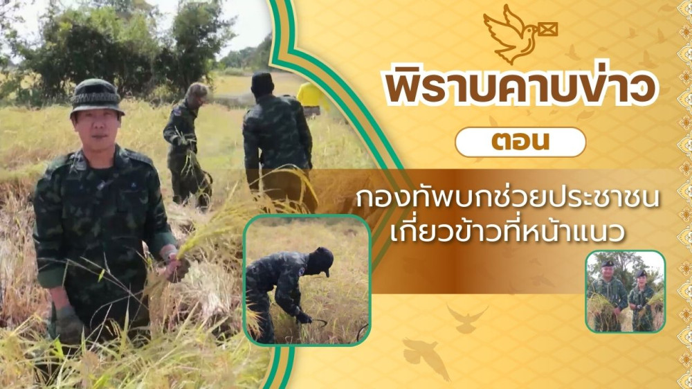สกู๊ป พิราบคาบข่าว ตอน กองทัพบกช่วยประชาชนเกี่ยวข้าวที่หน้าแนว