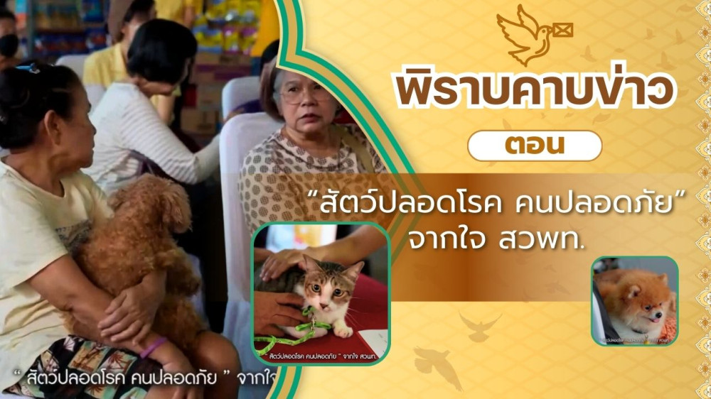 สกู๊ป พิราบคาบข่าว ตอน "สัตว์ปลอดโรค คนปลอดภัย" จากใจ สวพท.