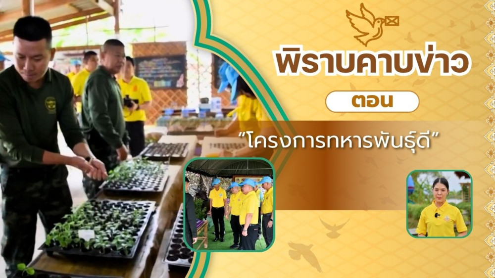 สกู๊ป พิราบคาบข่าว ตอน "โครงการทหารพันธุ์ดี"