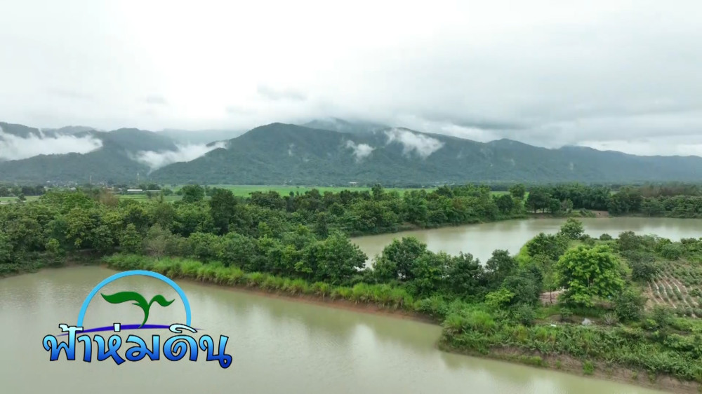 รายการฟ้าห่มดิน EP.24 ตอน ดินและน้ำ ลมและฟ้า ป่าและเขา ป่าชุ่มน้ำบุญเรือง จ.เชียงราย วันที่ 10 ตุลาคม 2566