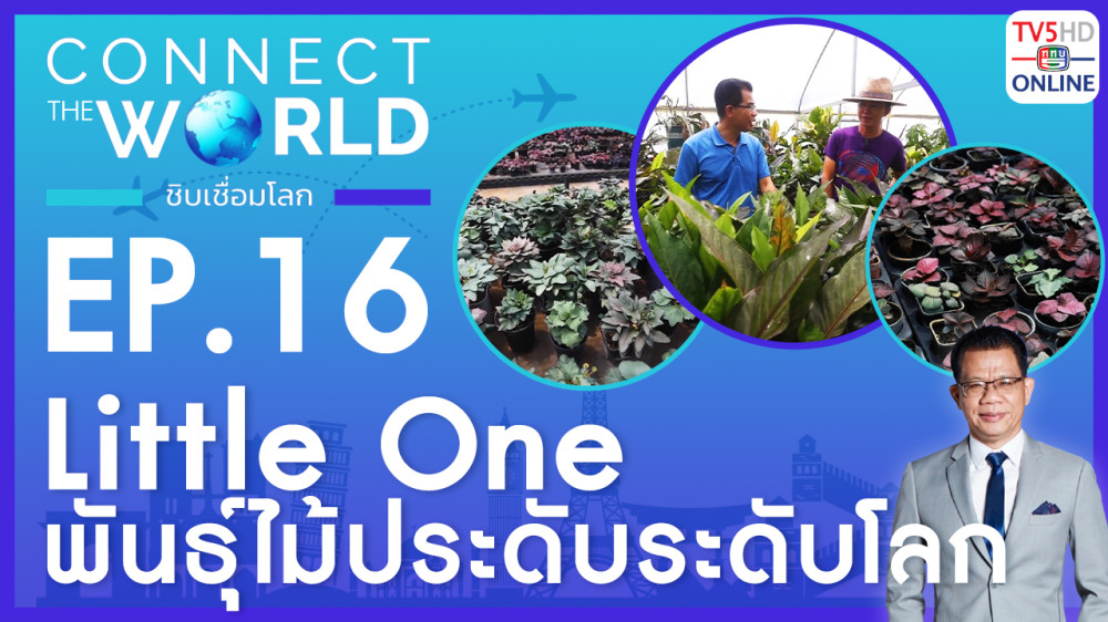 Connect the world ชิบเชื่อมโลก EP.16 วันที่ 28 มกราคม 2567