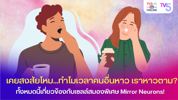 เคยสงสัยไหม...ทำไมเวลาคนอื่นหาว เราถึงหาวตาม? หรือเมื่อเพื่อนหัวเราะ เราก็พลอยหัวเราะไปด้วย? ทั้งหมดนี้เกี่ยวข้องกับเซลล์สมองพิเศษที่เรียกว่า Mirror Neurons! 