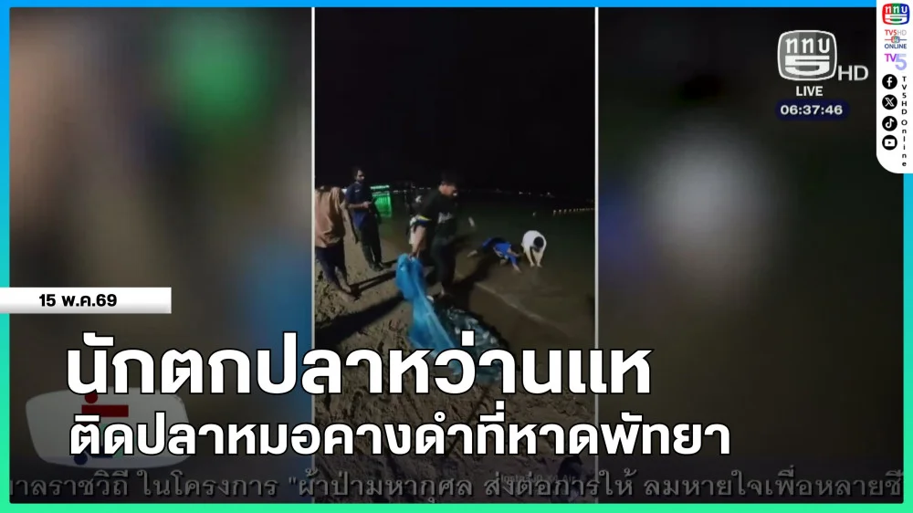 นักตกปลาหว่านแหติดปลาหมอคางดําที่หาดพัทยา