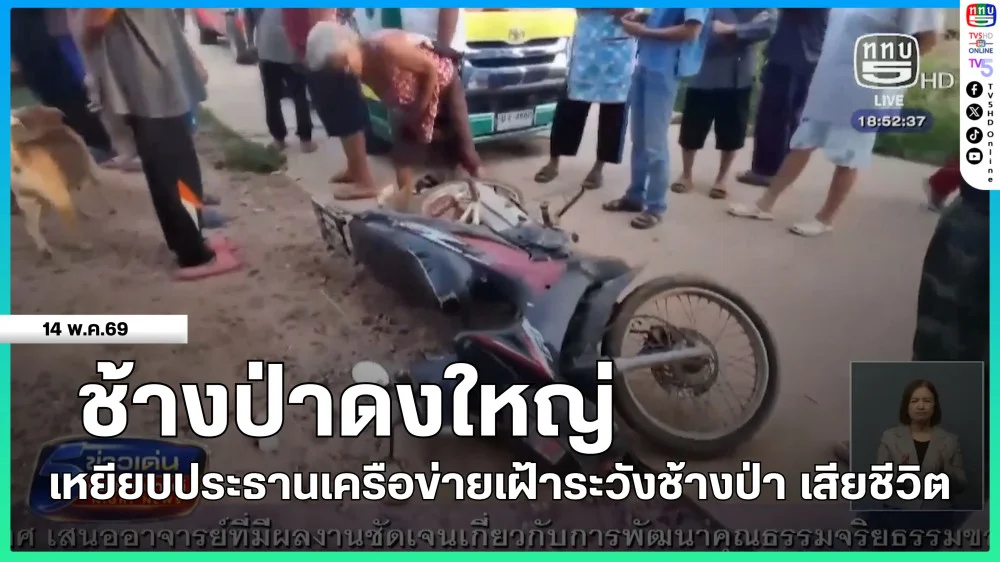 ช้างป่าดงใหญ่เหยียบประธานเครือข่ายเฝ้าระวังช้างป่า เสียชีวิต