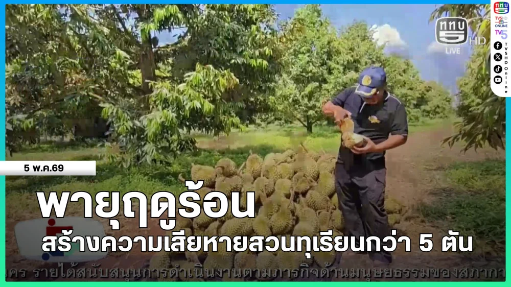 พายุฤดูร้อนสร้างความเสียหายสวนทุเรียนกว่า 5 ตัน