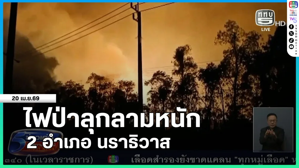 ไฟป่าลุกลามหนัก 2 อําเภอ นราธิวาส