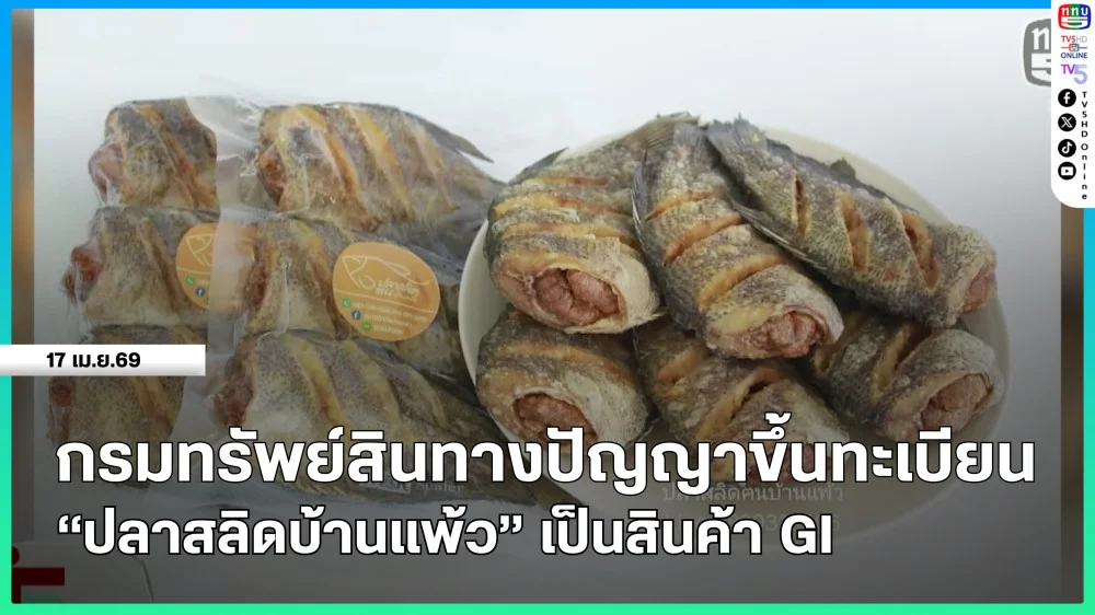 กรมทรัพย์สินทางปัญญาขึ้นทะเบียน "ปลาสลิดบ้านแพ้ว" เป็นสินค้า GI